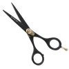 Iceman Blaze 5.5 Black Straight Scissors